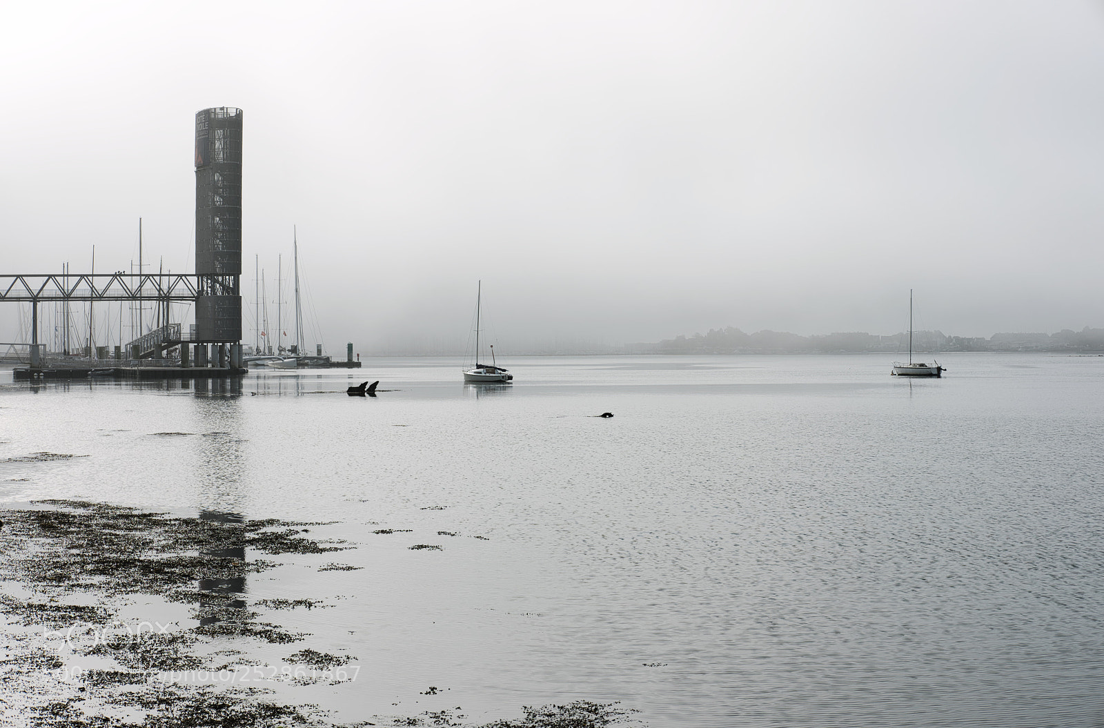 Fujifilm X-T10 sample photo. Brume du matin photography