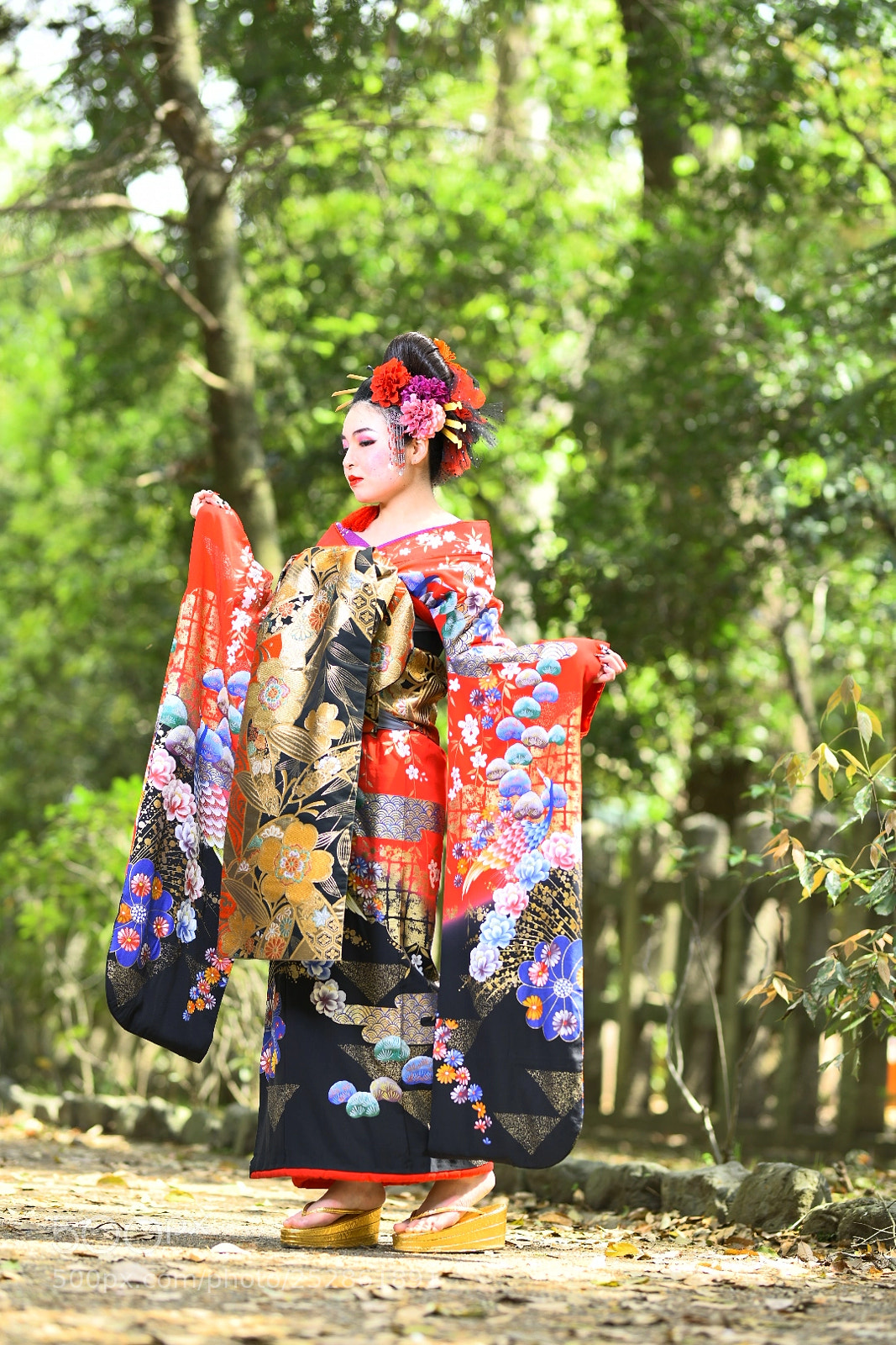 Nikon D850 sample photo. Untitled photography