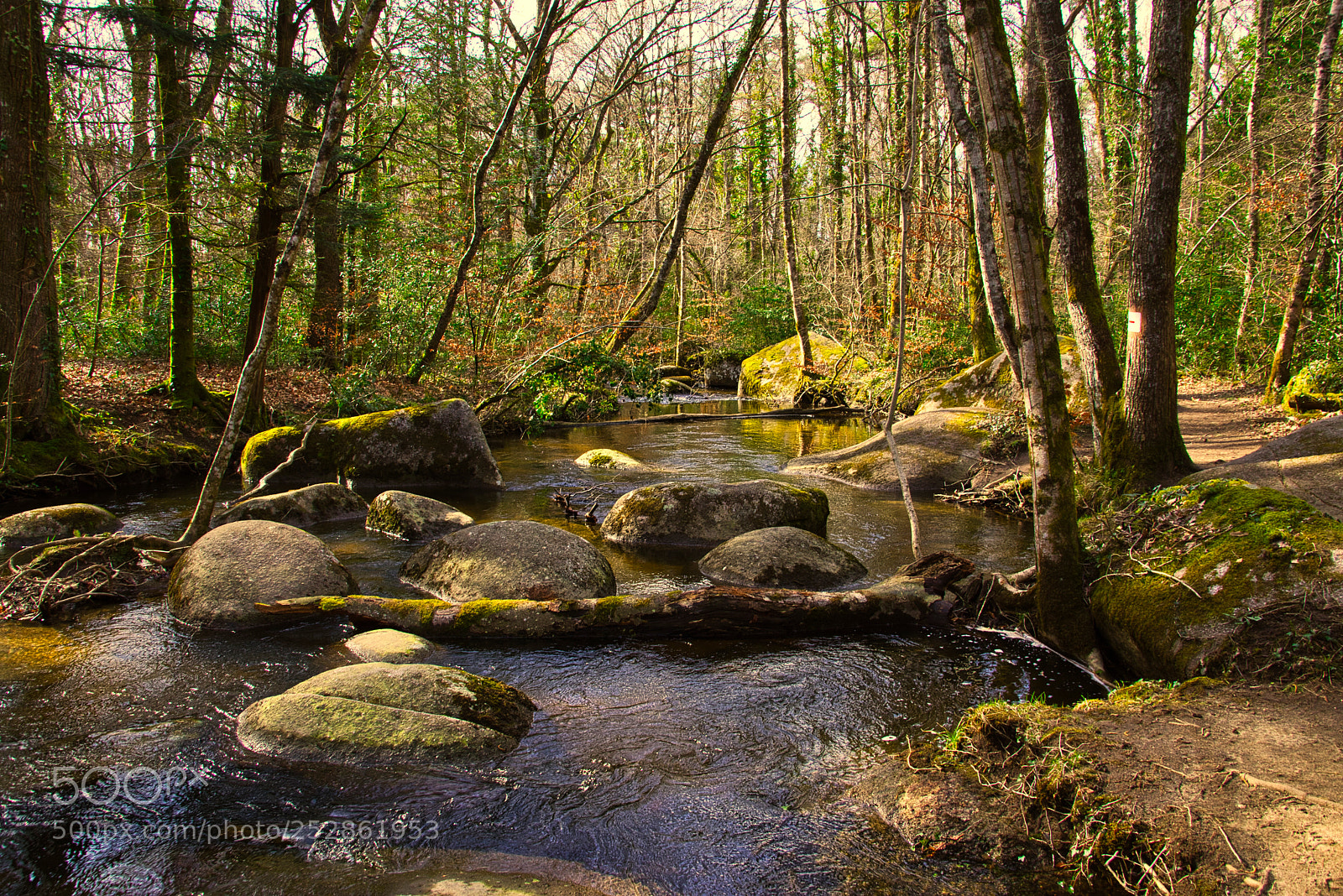 Nikon D3400 sample photo. River of stones photography
