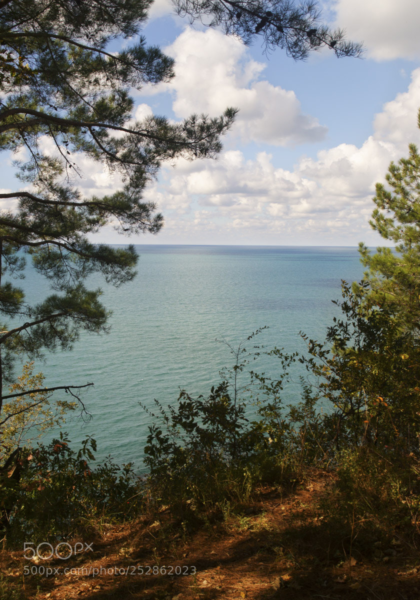 Sony SLT-A57 sample photo. By the sea photography