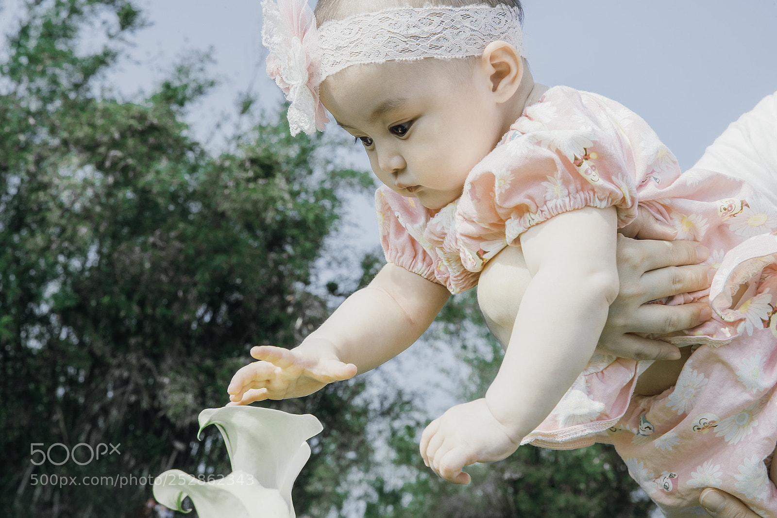 Canon EOS-1D X Mark II sample photo. Untitled photography