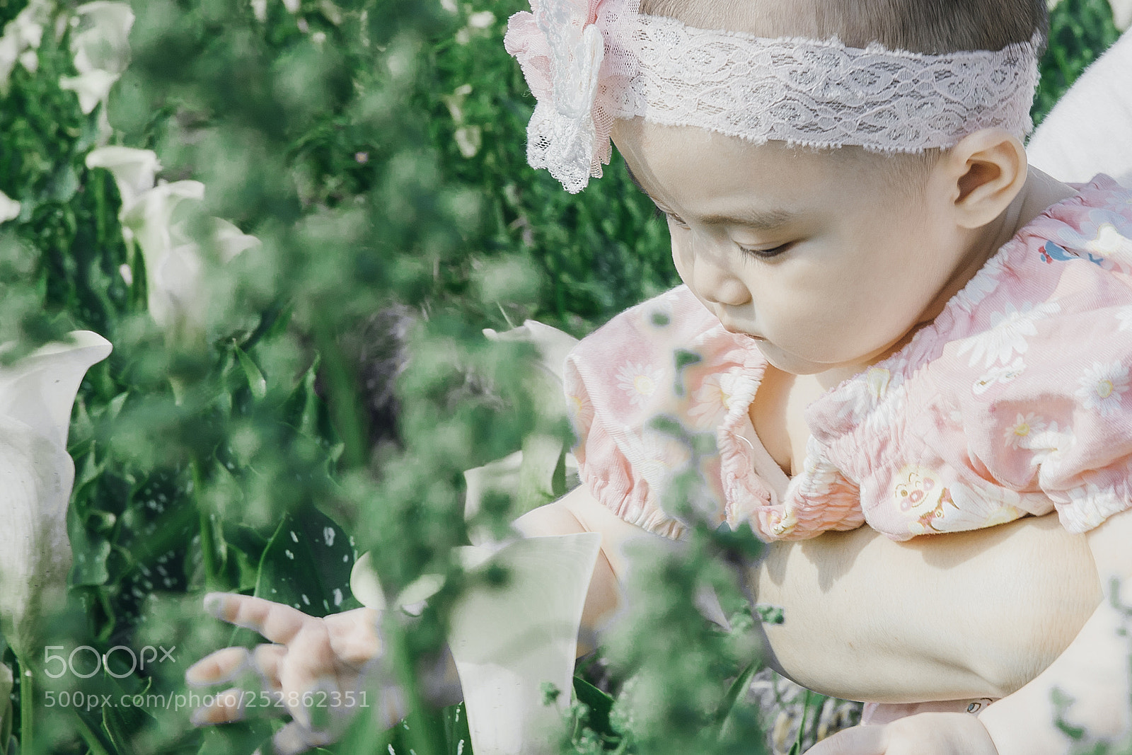 Canon EOS-1D X Mark II sample photo. Untitled photography