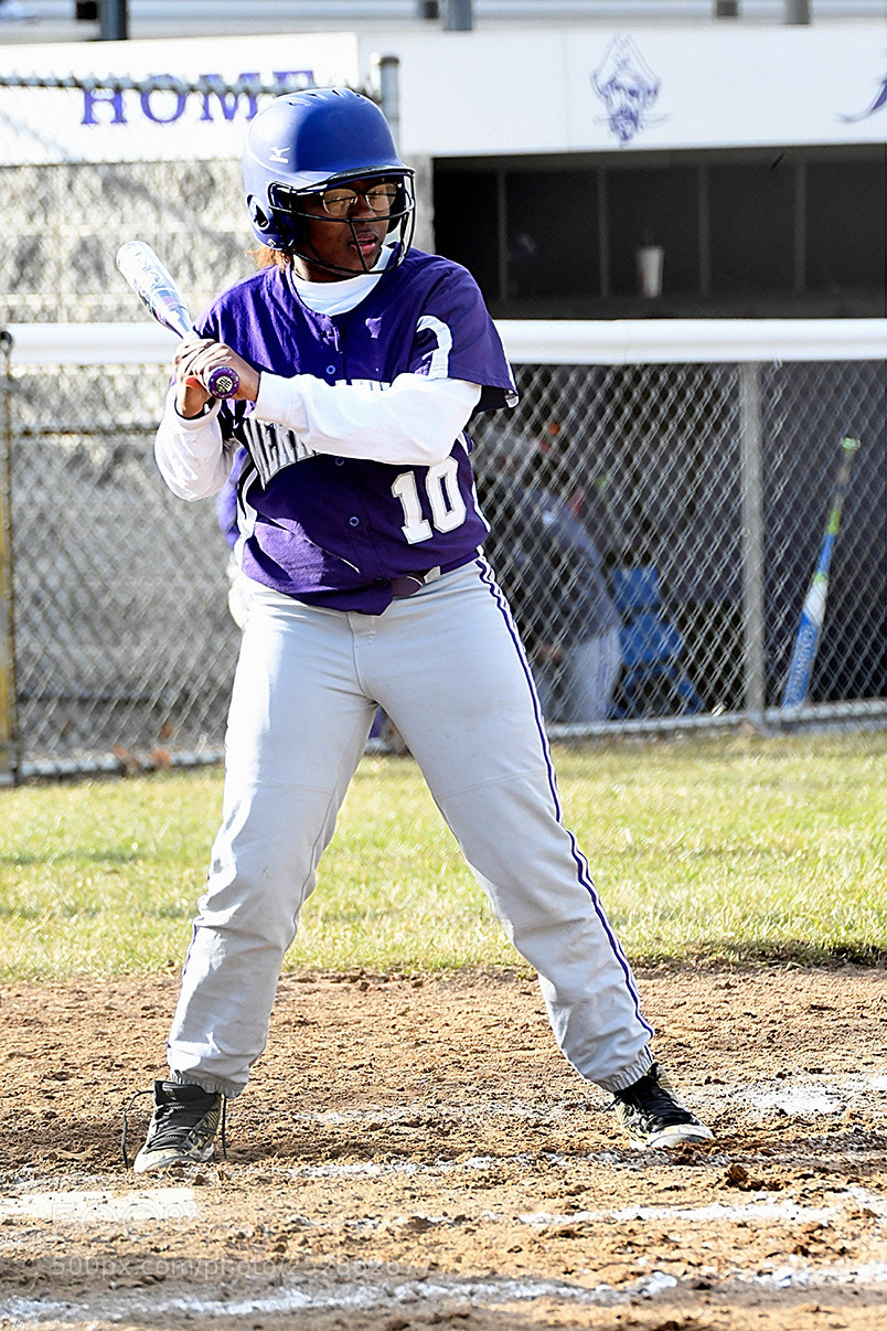Nikon D500 sample photo. 4-4_0462.jpg photography