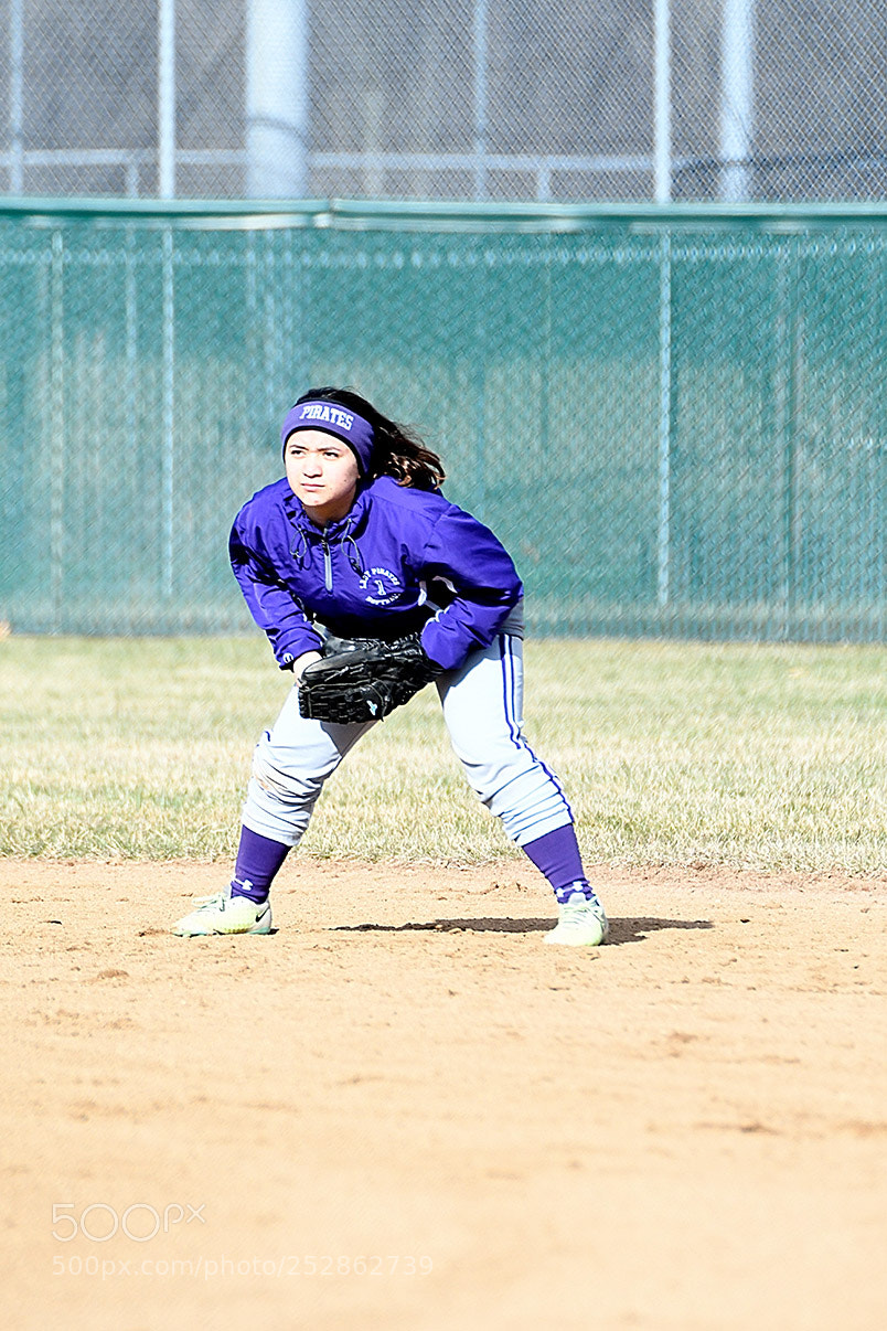 Nikon D500 sample photo. 4-4_0208.jpg photography