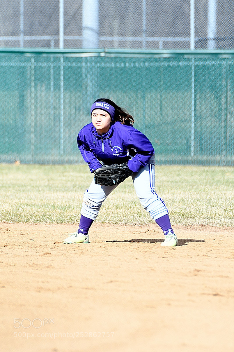 Nikon D500 sample photo. 4-4_0207.jpg photography