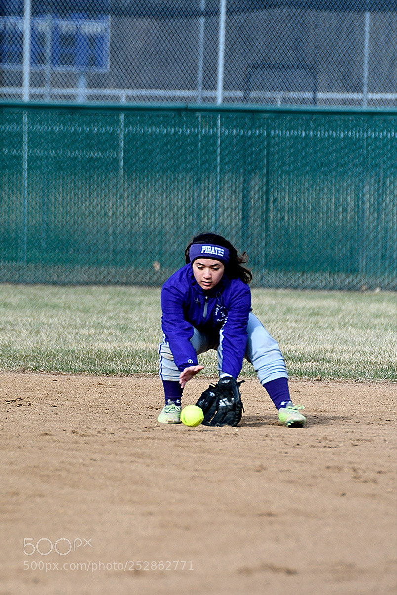 Nikon D500 sample photo. 4-4_0213.jpg photography