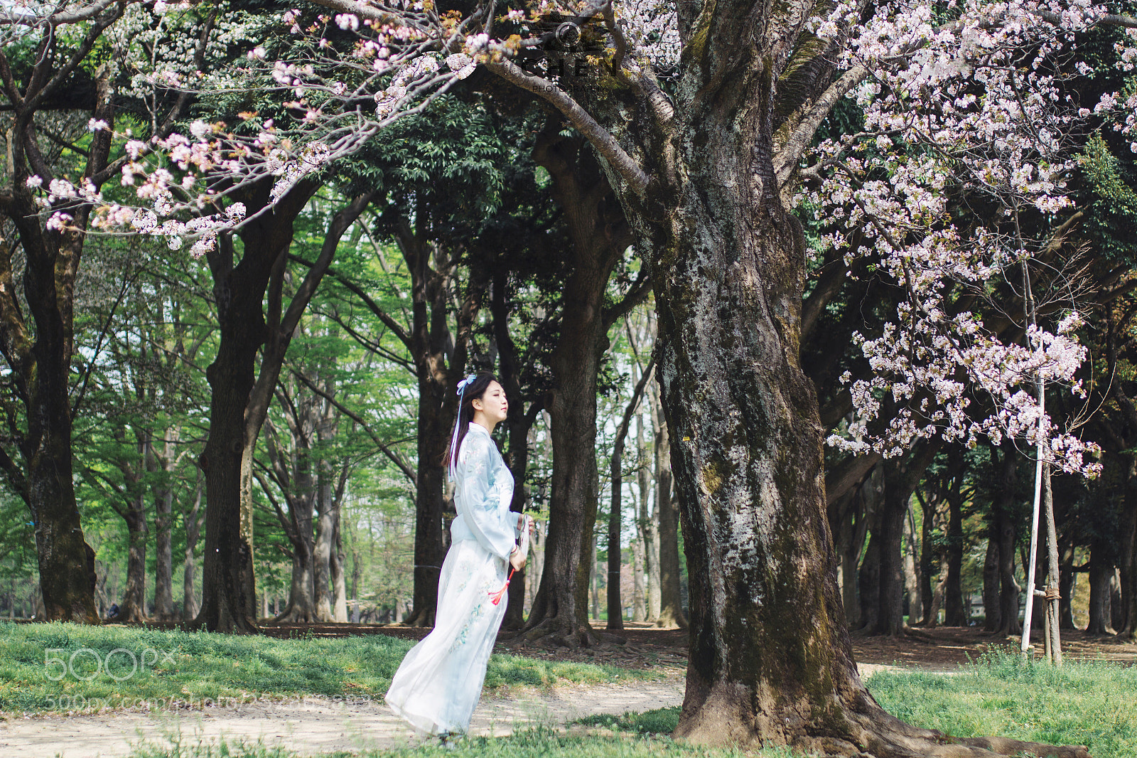 Canon EOS 60D sample photo. 汉服 photography