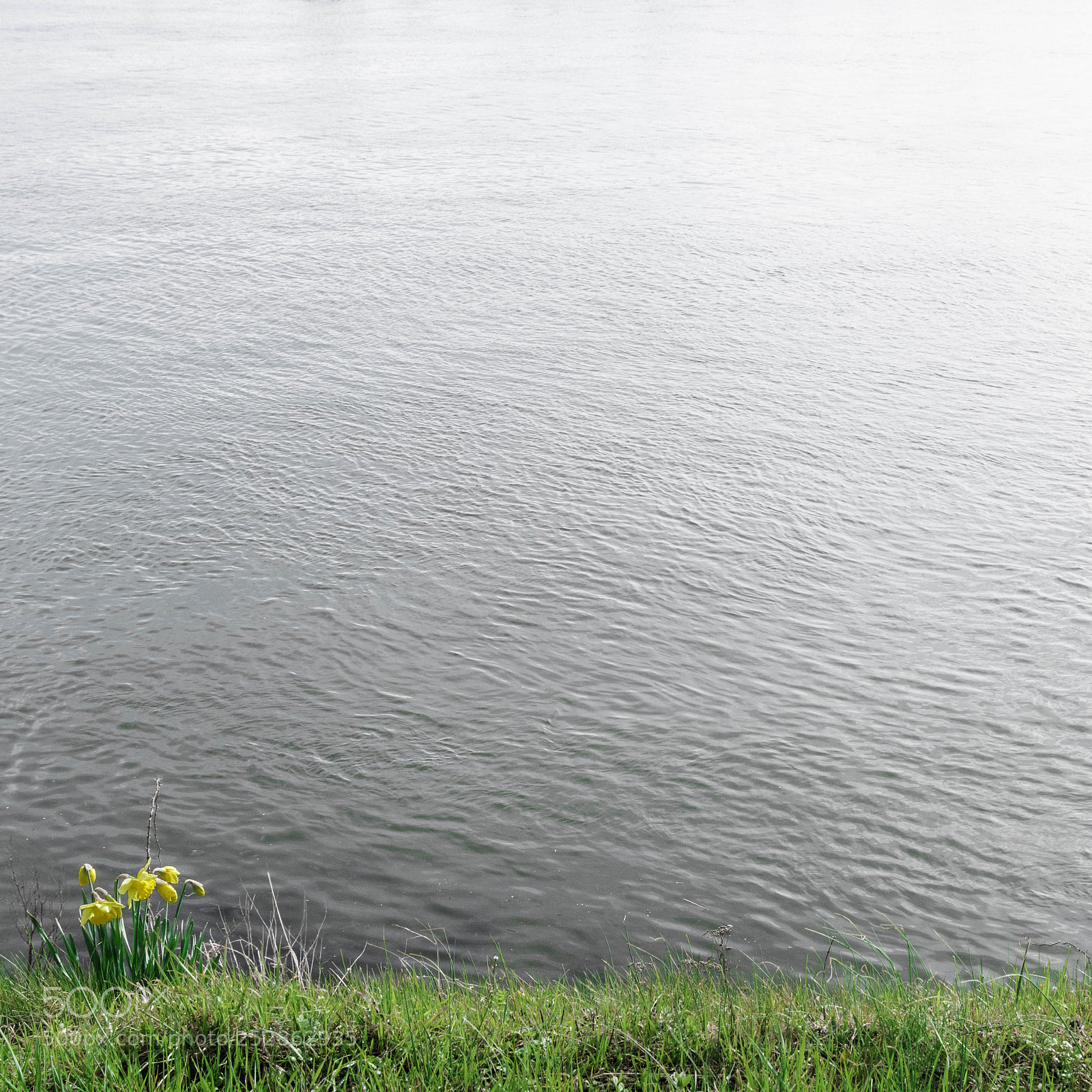 Sony ILCA-77M2 sample photo. Spring photography