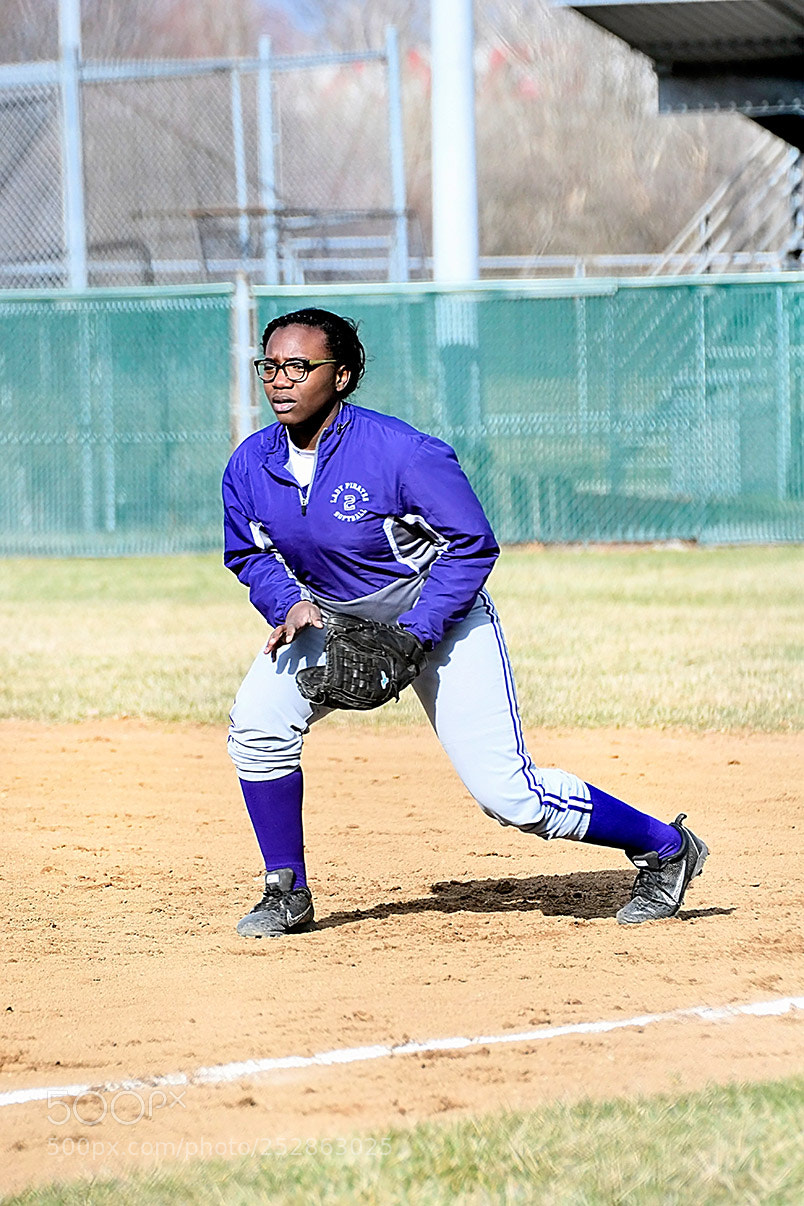 Nikon D500 sample photo. 4-4_0220.jpg photography