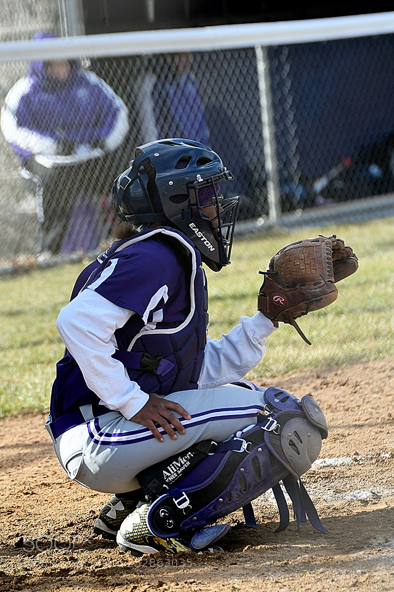 Nikon D500 sample photo. 4-4_0222.jpg photography