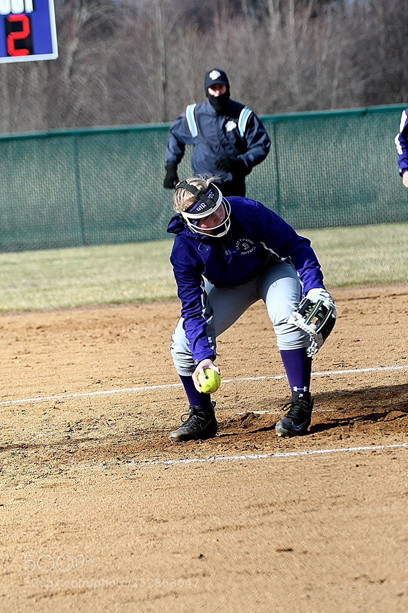 Nikon D500 sample photo. 4-4_0223.jpg photography