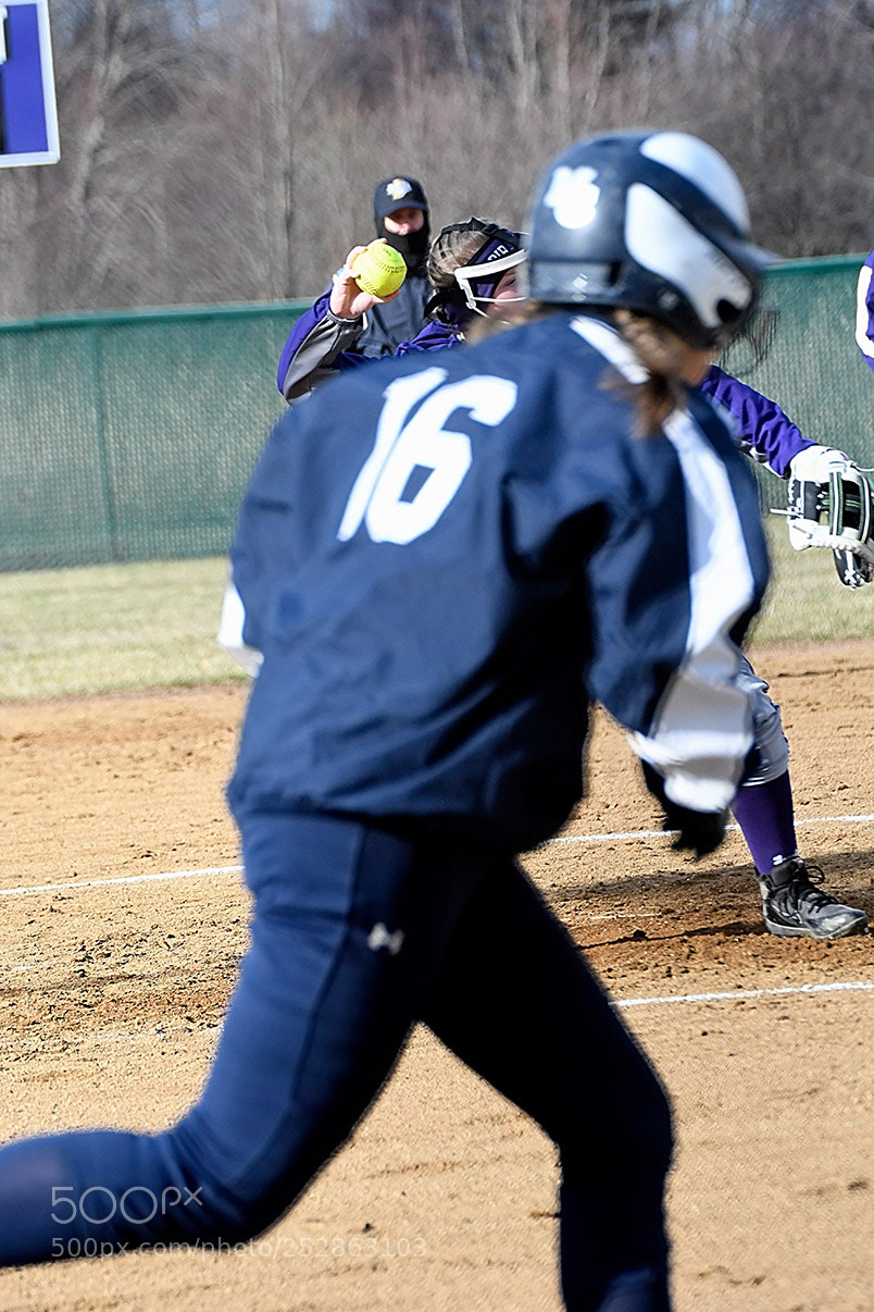 Nikon D500 sample photo. 4-4_0226.jpg photography
