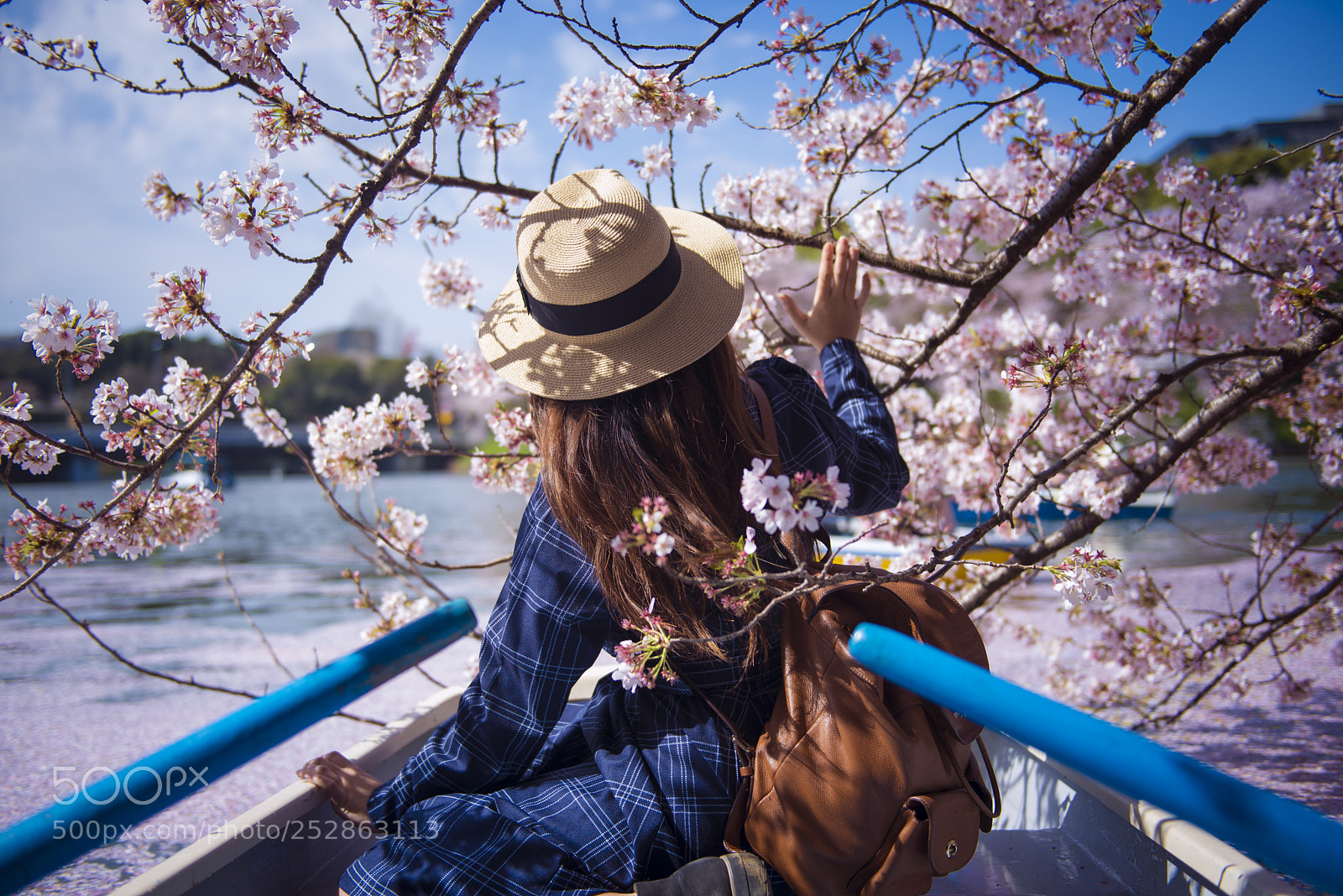 Nikon D610 sample photo. Spring time... photography