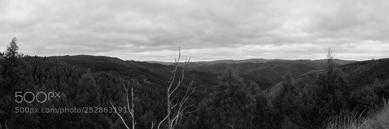 Nikon D5300 sample photo. Tarra bulga photography