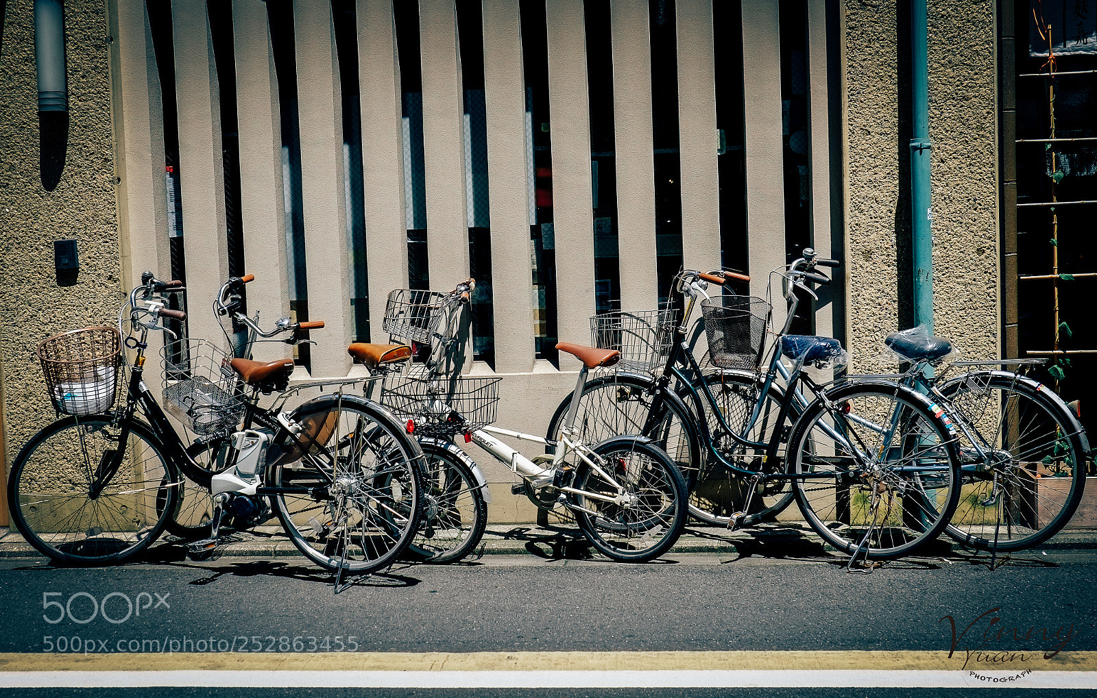 Fujifilm X-Pro1 sample photo. _dsf0632-3.jpg photography