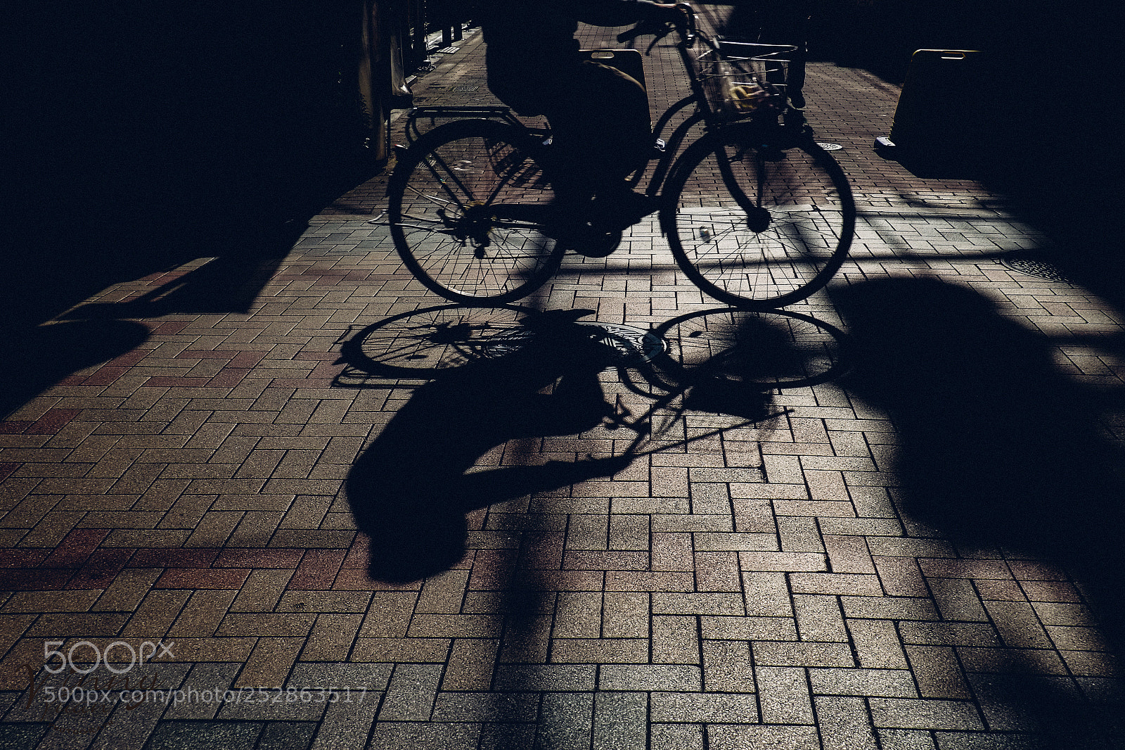Fujifilm X-Pro1 sample photo. Dsf photography