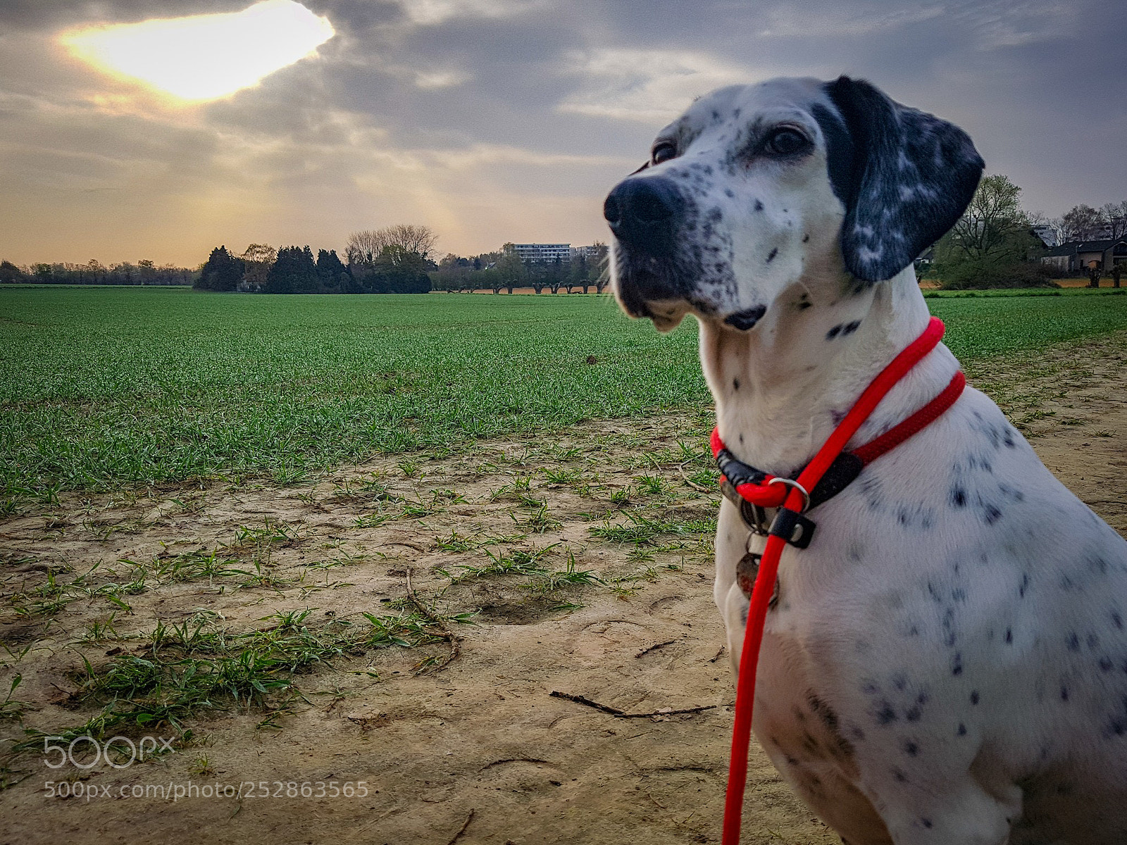 Samsung Galaxy S7 sample photo. Untitled photography