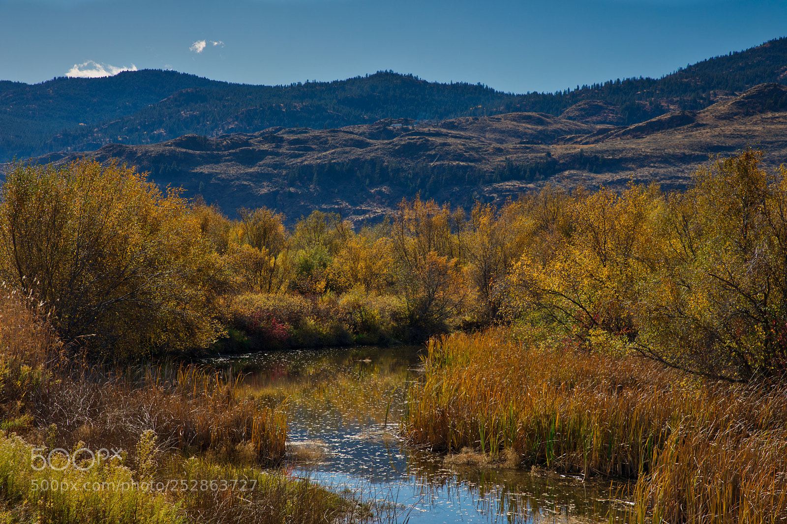 Canon EOS 5D Mark IV sample photo. Bog osoyoos bc canada photography