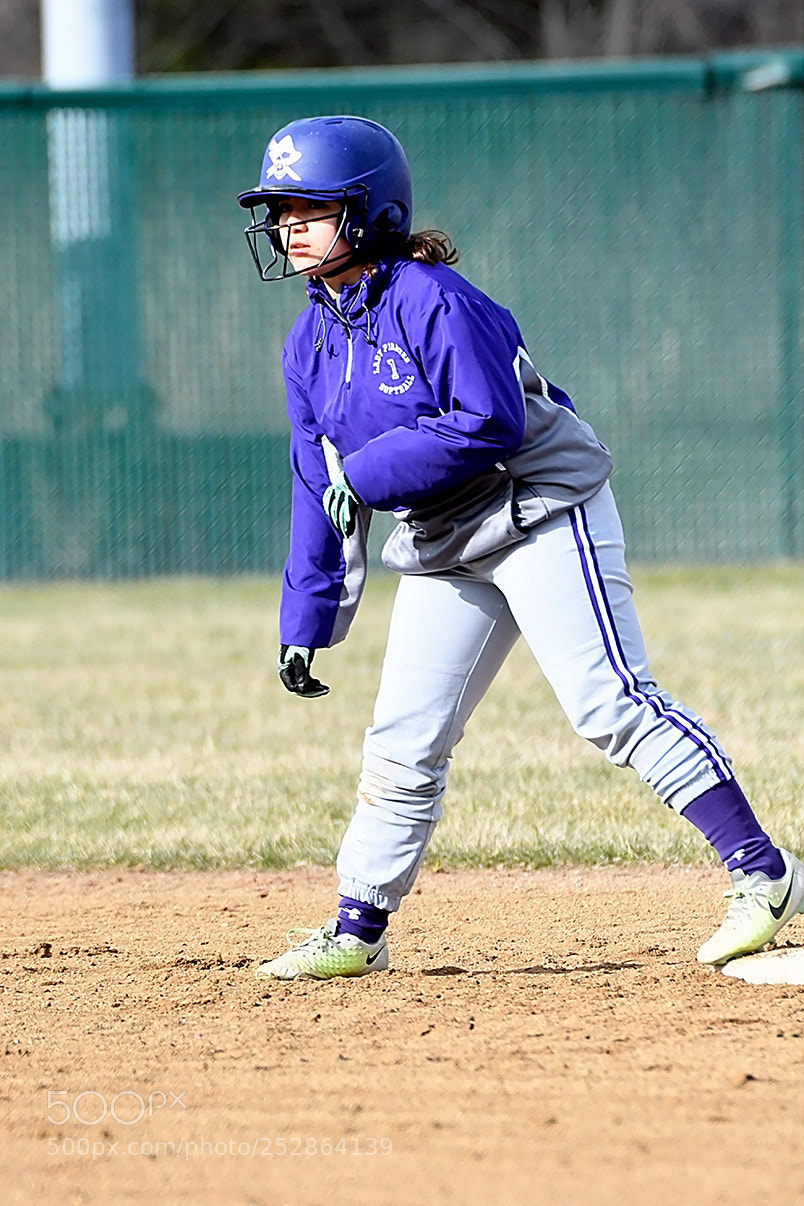 Nikon D500 sample photo. 4-4_0256.jpg photography