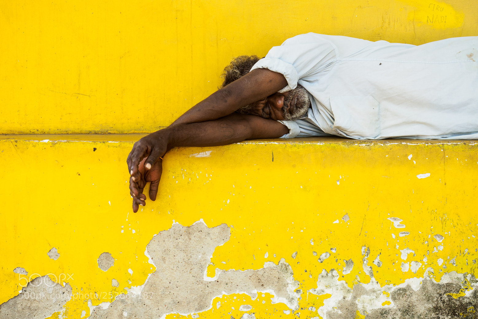 Olympus OM-D E-M1 Mark II sample photo. Yellow dreams photography