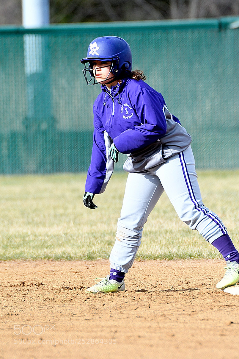 Nikon D500 sample photo. 4-4_0257.jpg photography