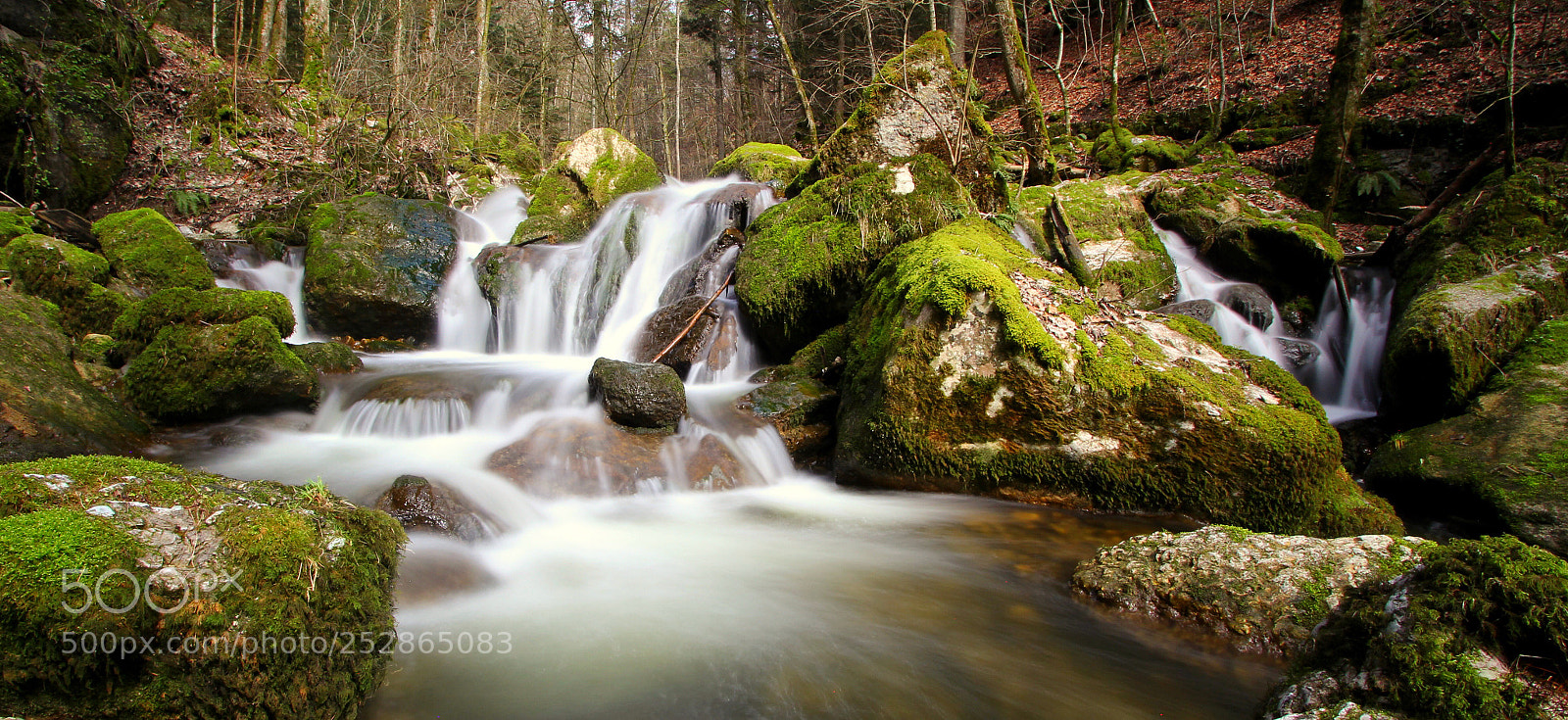 Canon EOS 60D sample photo. Twannbach photography