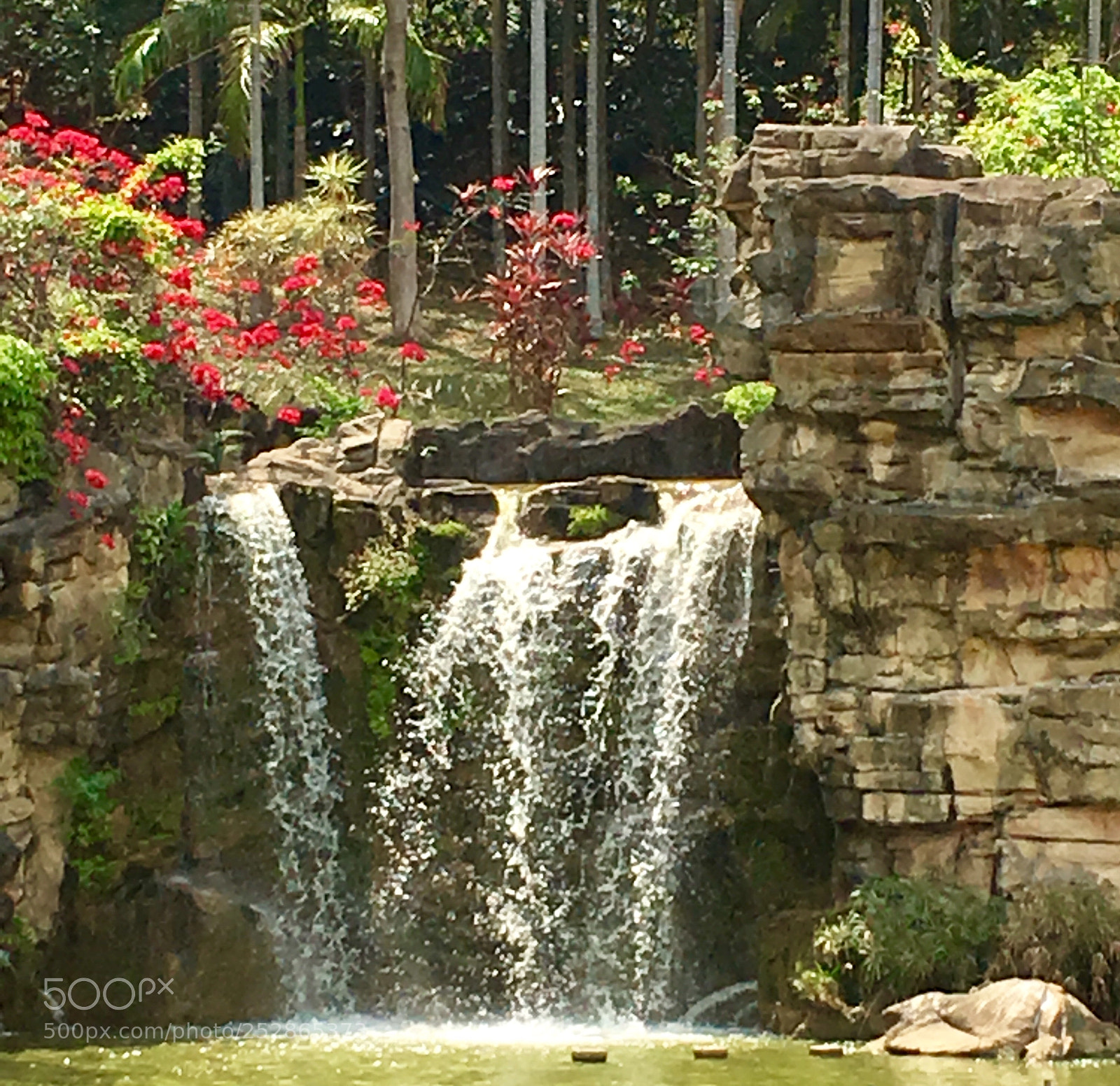 Apple iPhone 6s Plus sample photo. Tsing yi park photography