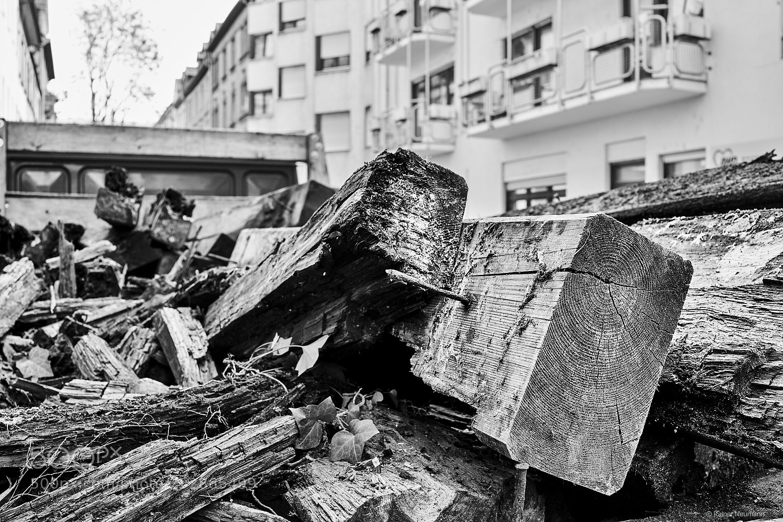 Sony Cyber-shot DSC-RX1R II sample photo. Holz b&w photography