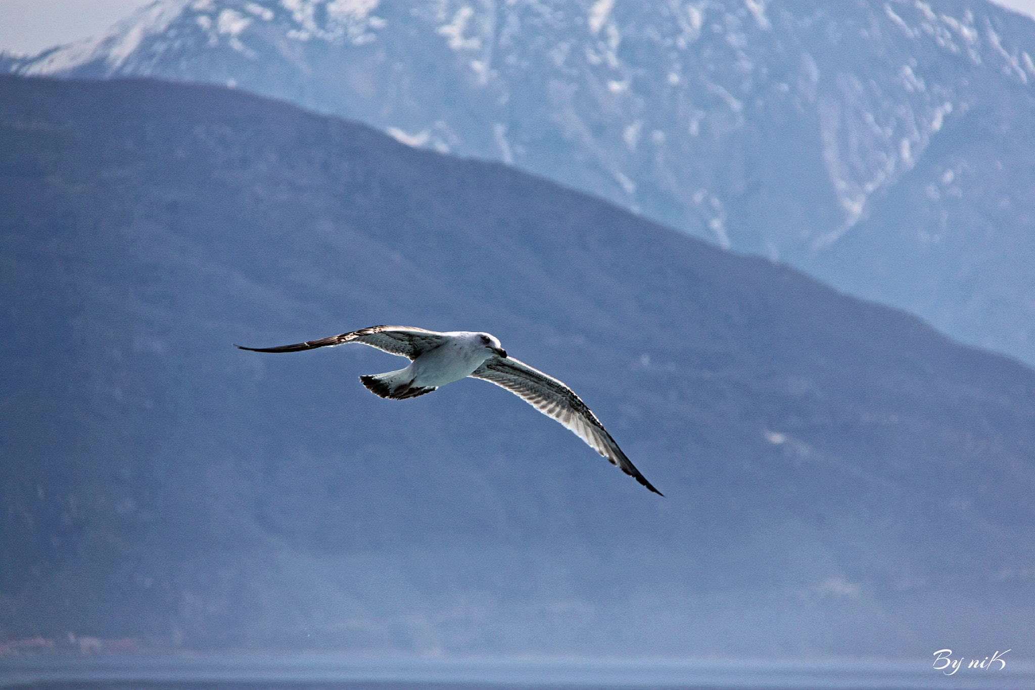 Canon EF-S 18-200mm F3.5-5.6 IS sample photo. απολαμβανοντας την ελευθερια...... photography
