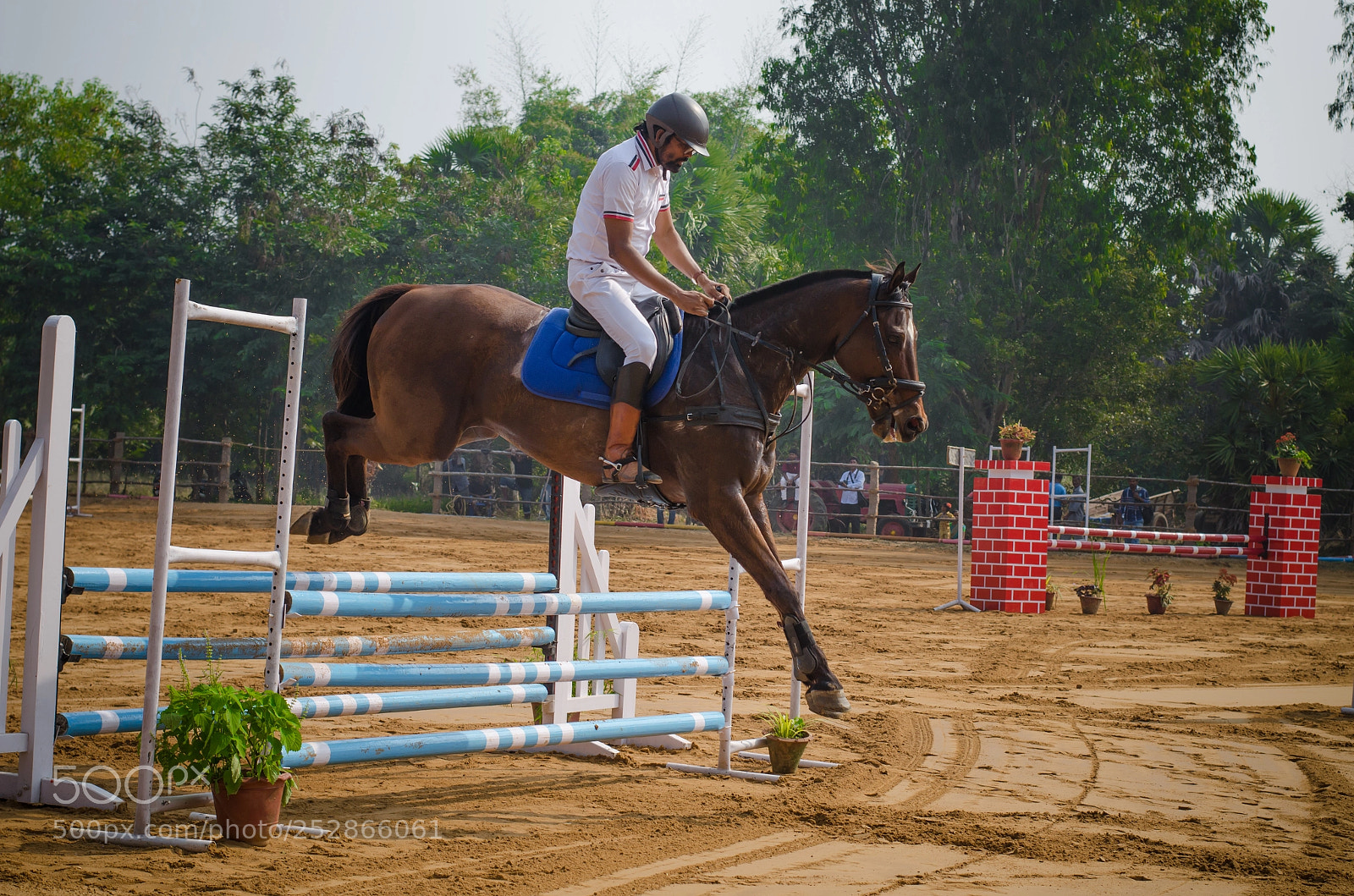 Nikon D5100 sample photo. Flying wizard photography
