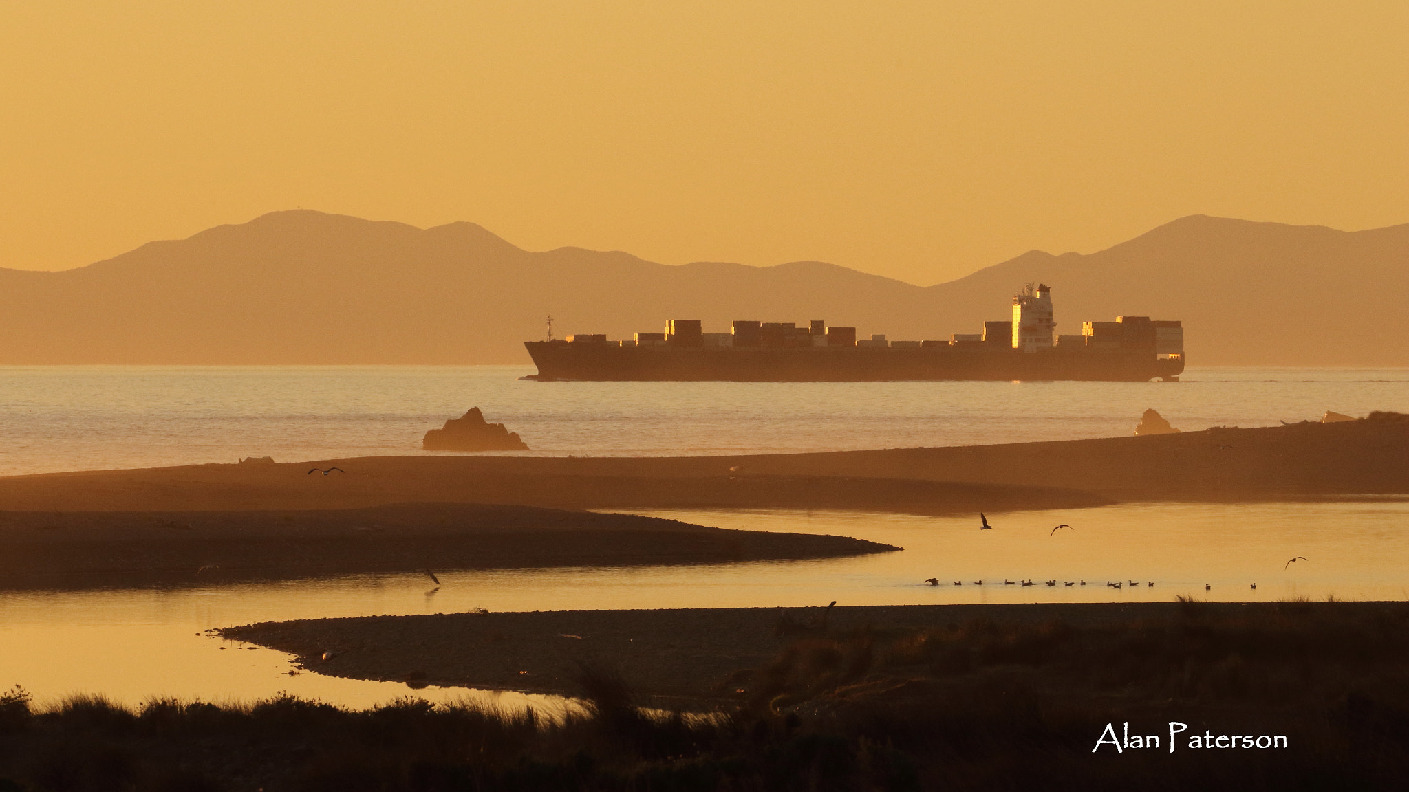 Tamron SP 150-600mm F5-6.3 Di VC USD sample photo. Leaving wellington photography
