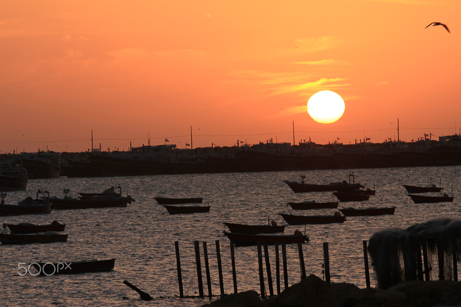Canon EOS 7D sample photo. Ebrahim mokhtary photography