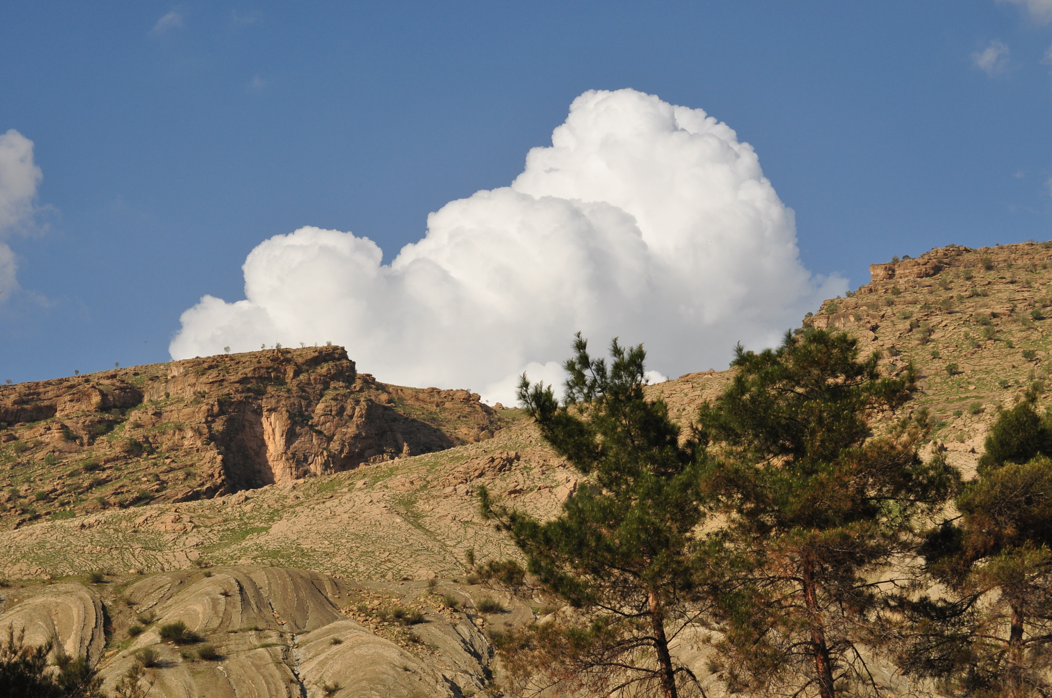 Nikon D5000 sample photo
