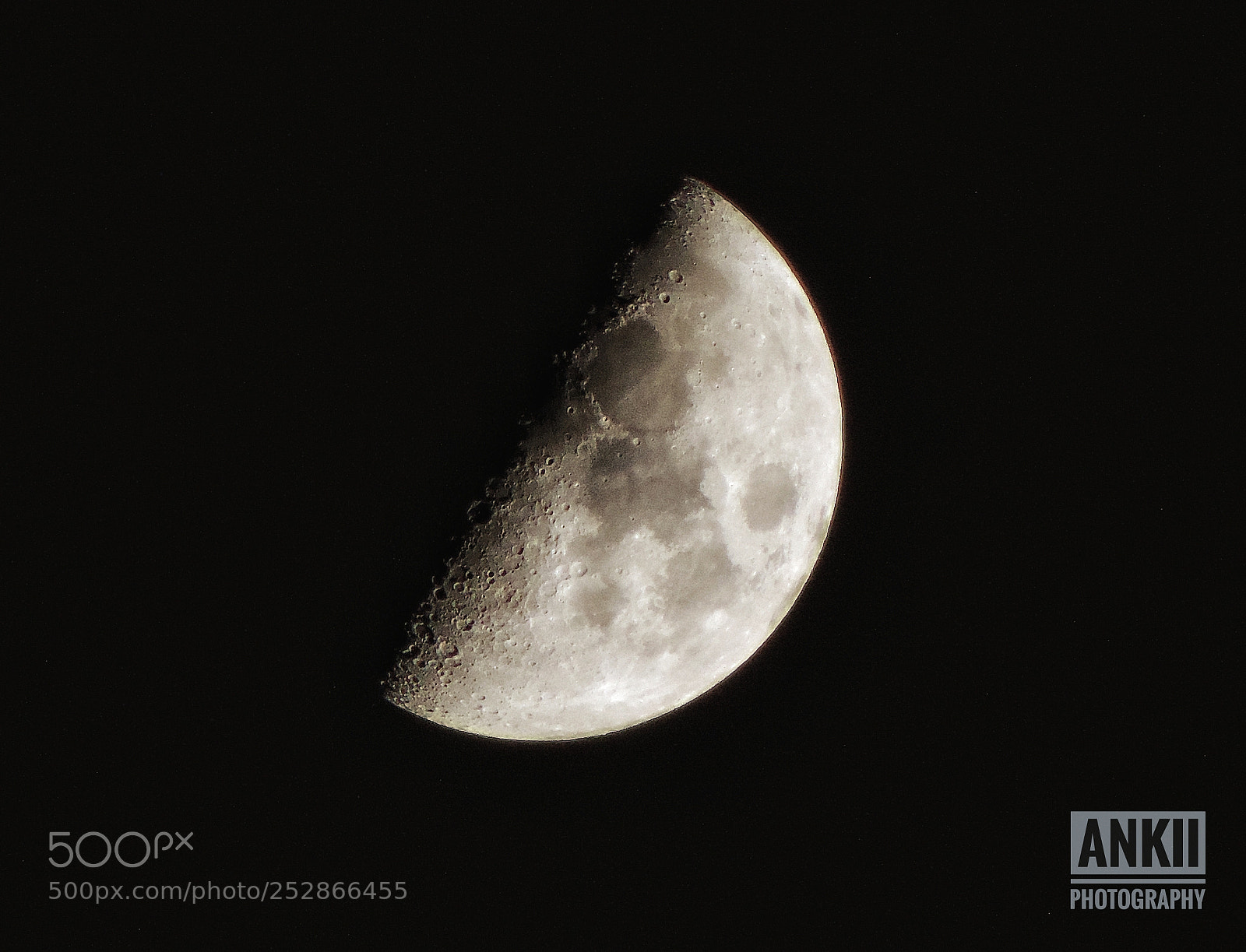 Nikon Coolpix P520 sample photo. Half moon photography