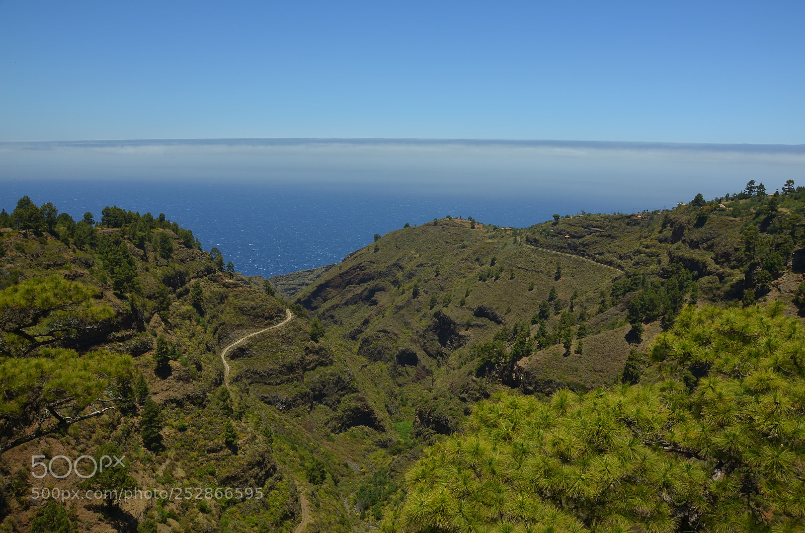 Nikon D5100 sample photo. Piniencanyon photography