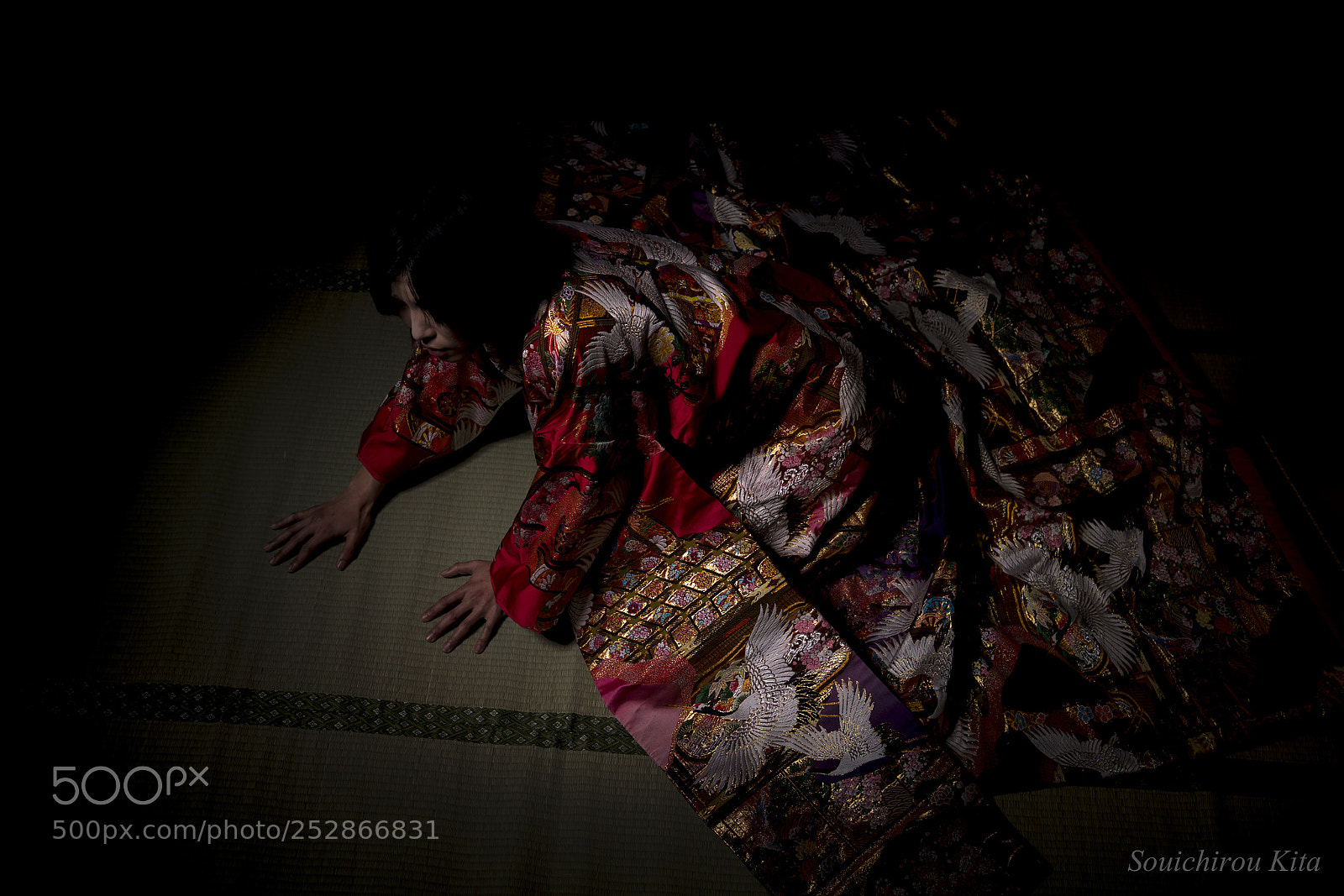 Nikon D5 sample photo. Beautiful demon photography