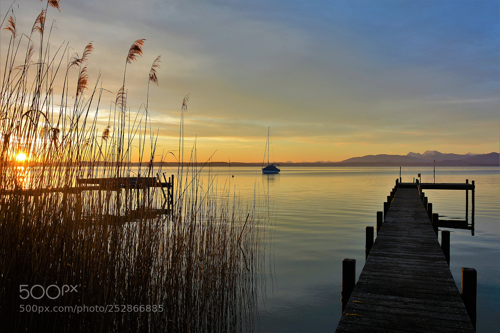 Nikon D7100 sample photo. The sound of silence 2 photography