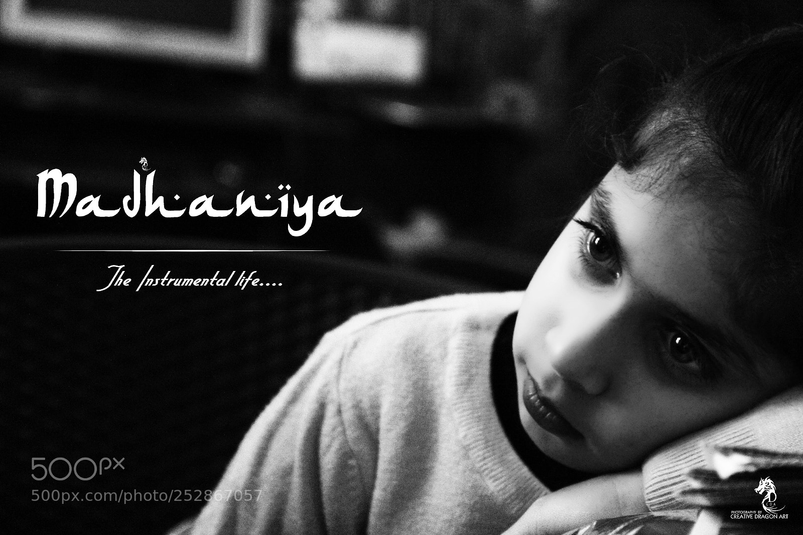 Canon EOS 60D sample photo. Madhaniya photography