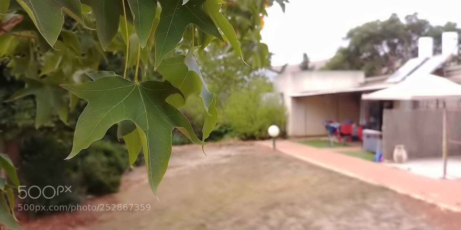 LG G6 sample photo. Kibbutz malkia photography