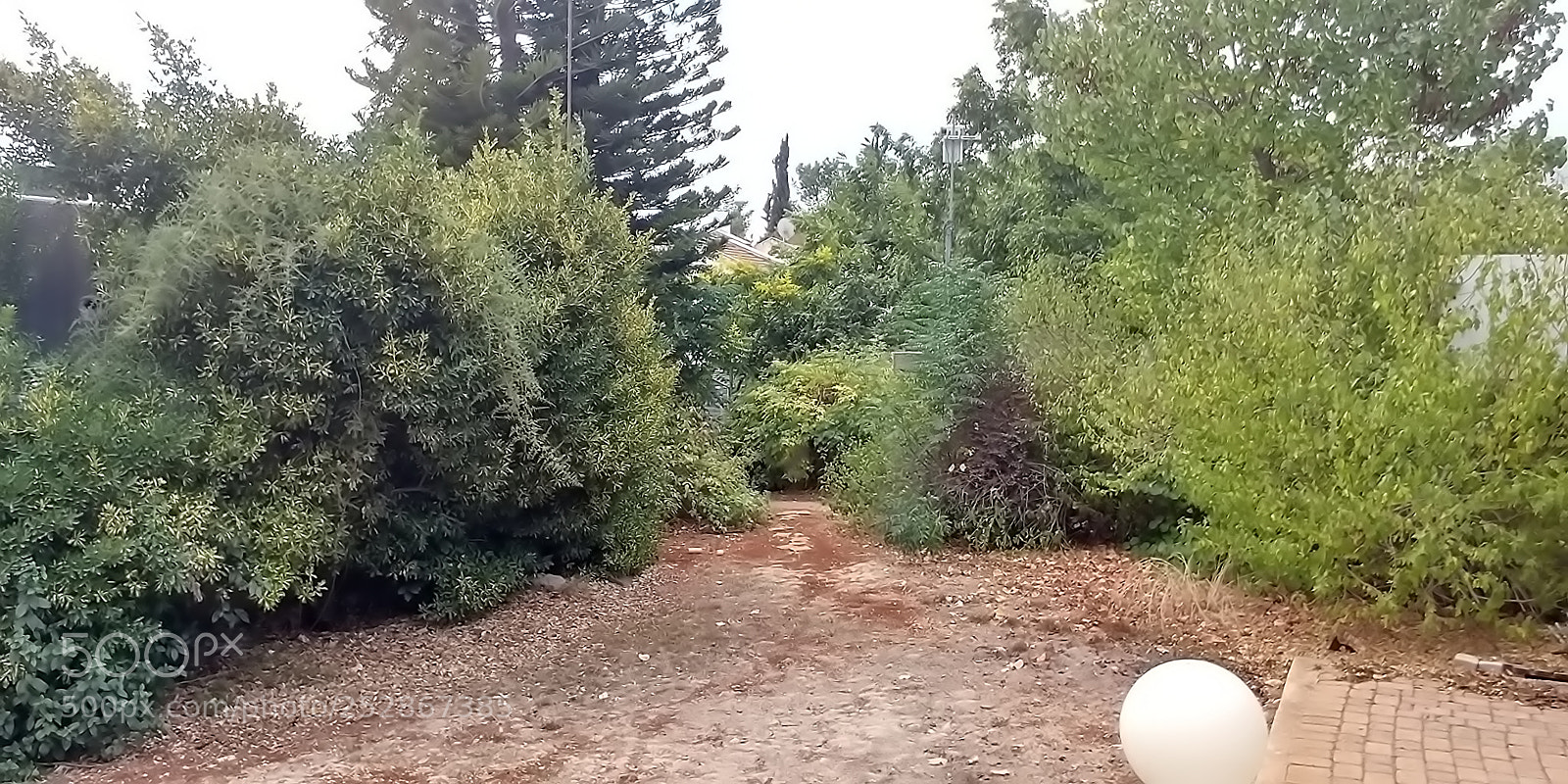 LG G6 sample photo. Kibbutz malkia photography