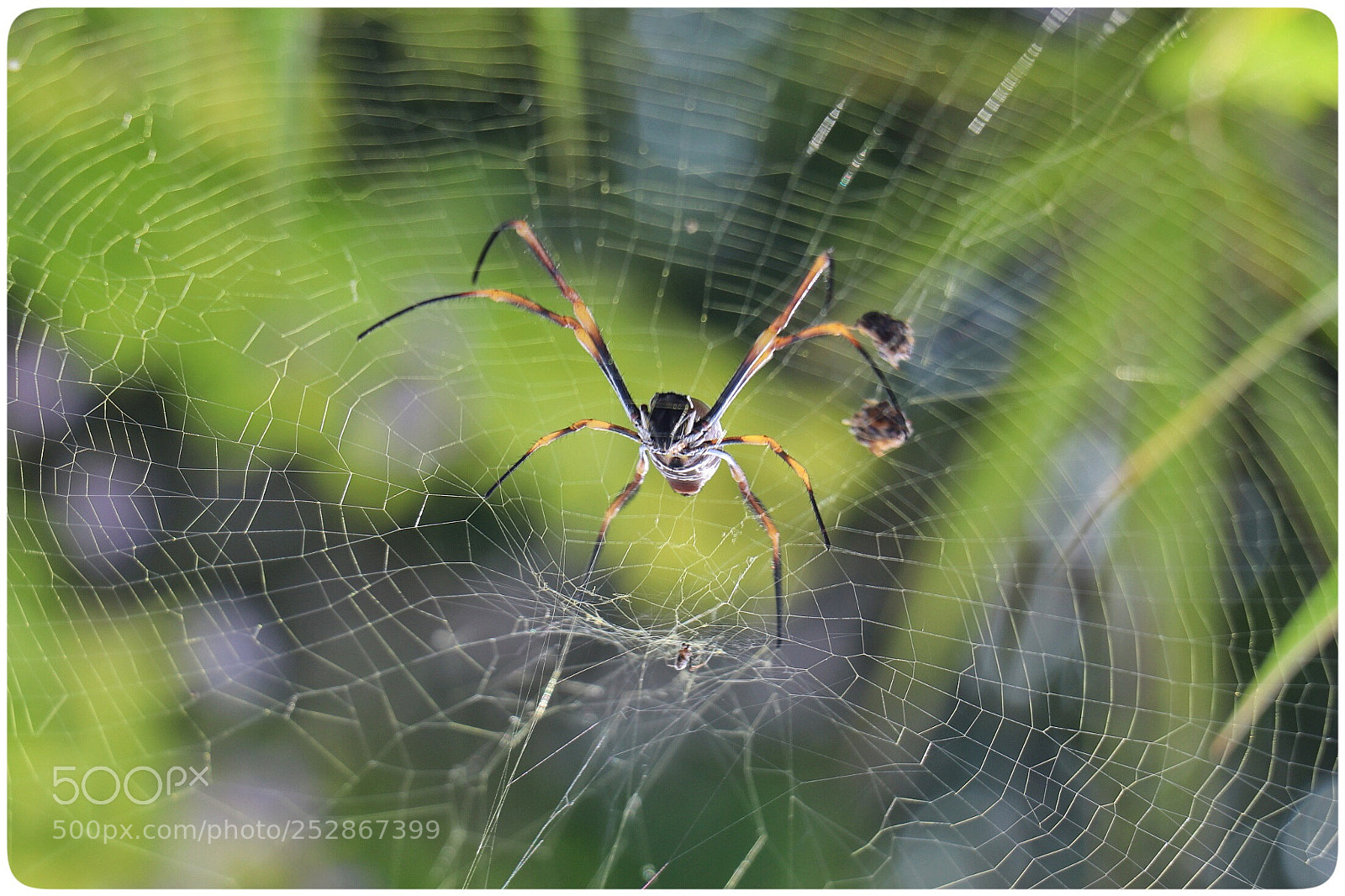 Canon EOS 77D (EOS 9000D / EOS 770D) sample photo. Untitled photography