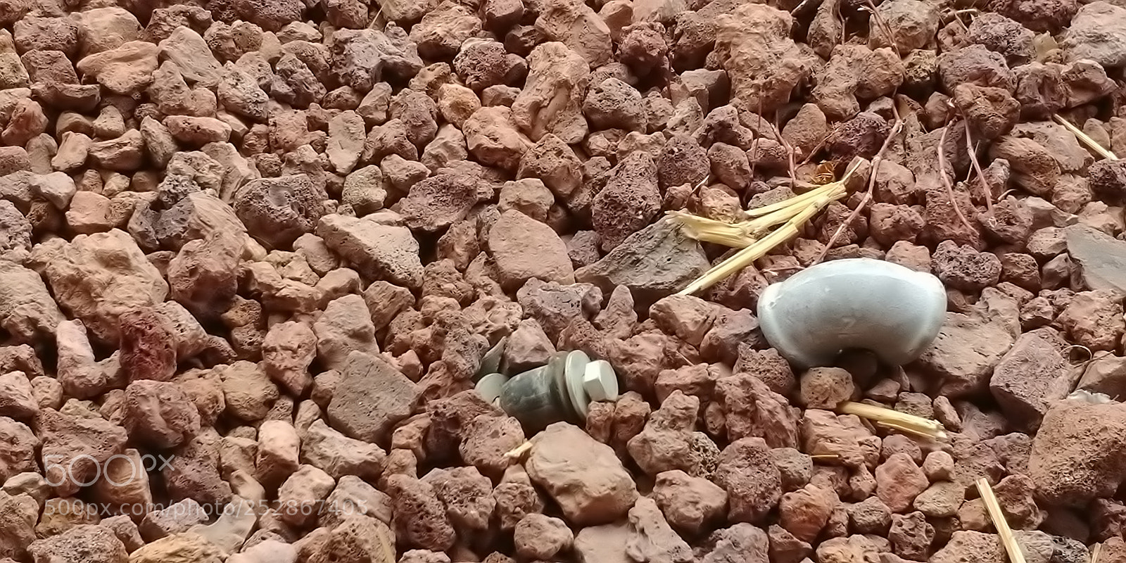 LG G6 sample photo. Kibbutz malkia photography