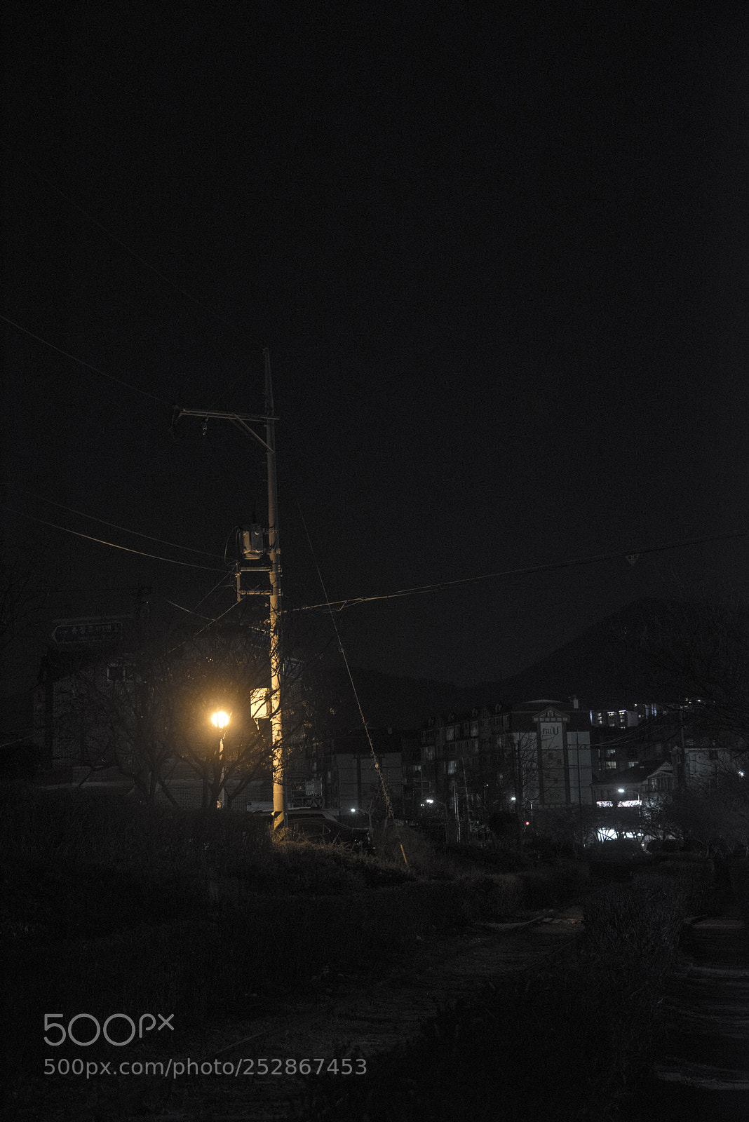 Nikon D810 sample photo. In a night 3 photography