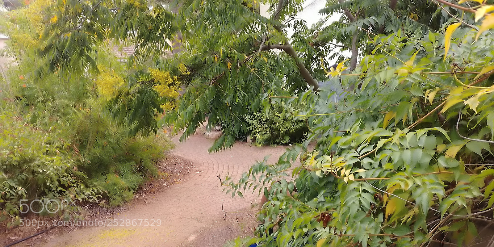 LG G6 sample photo. Kibbutz malkia photography