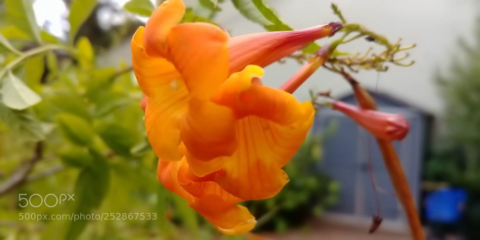 LG G6 sample photo. Kibbutz malkia photography