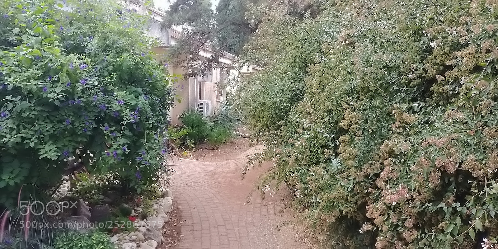 LG G6 sample photo. Kibbutz malkia photography