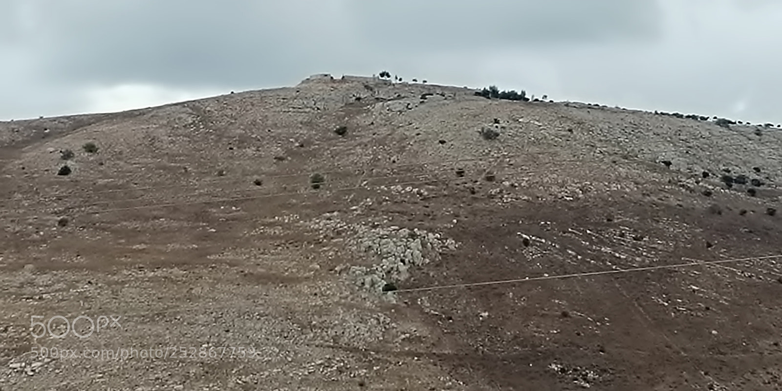 LG G6 sample photo. Kibbutz malkia photography