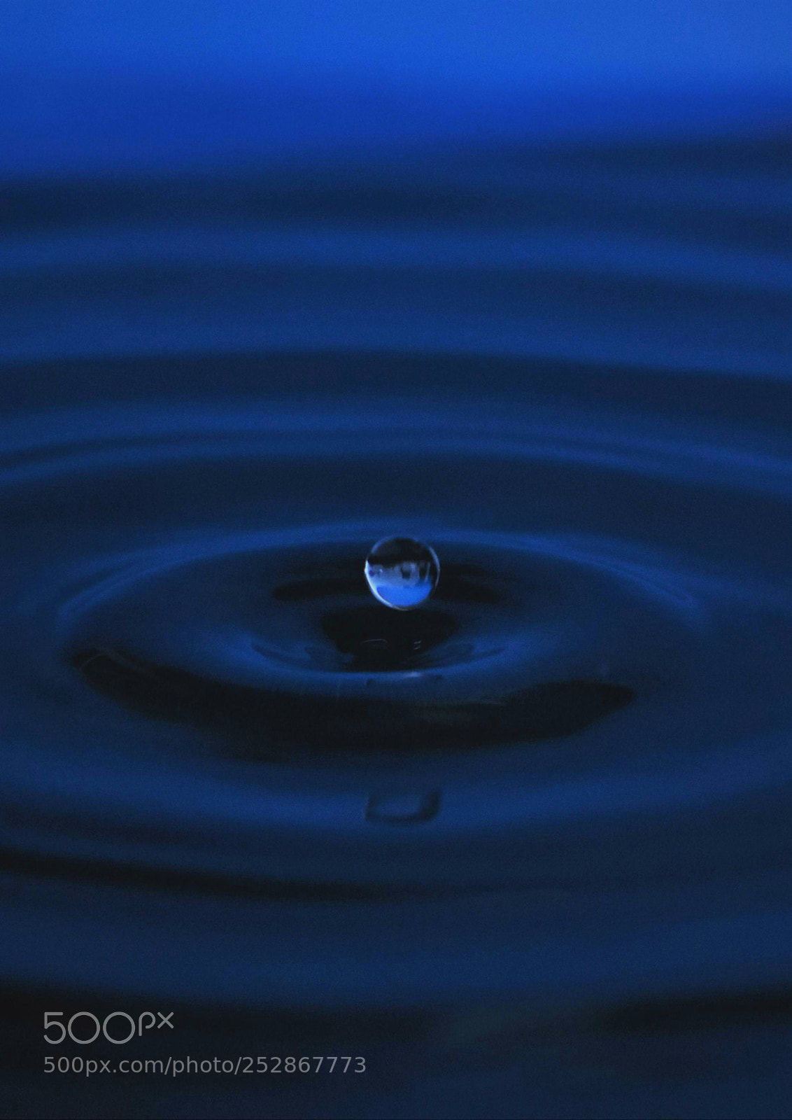 Nikon D7200 sample photo. Blue bubble... photography