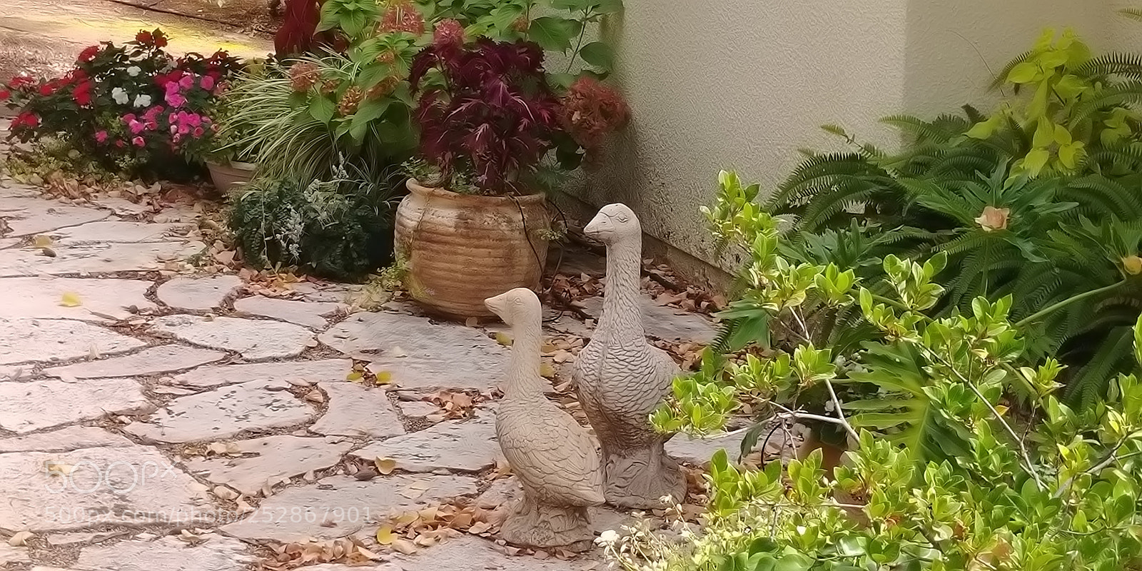 LG G6 sample photo. Kibbutz malkia photography