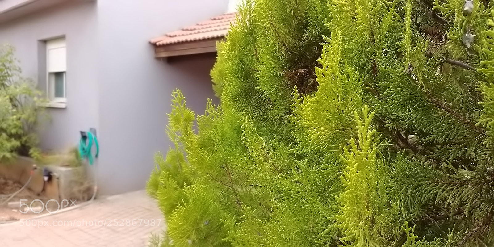 LG G6 sample photo. Kibbutz malkia photography